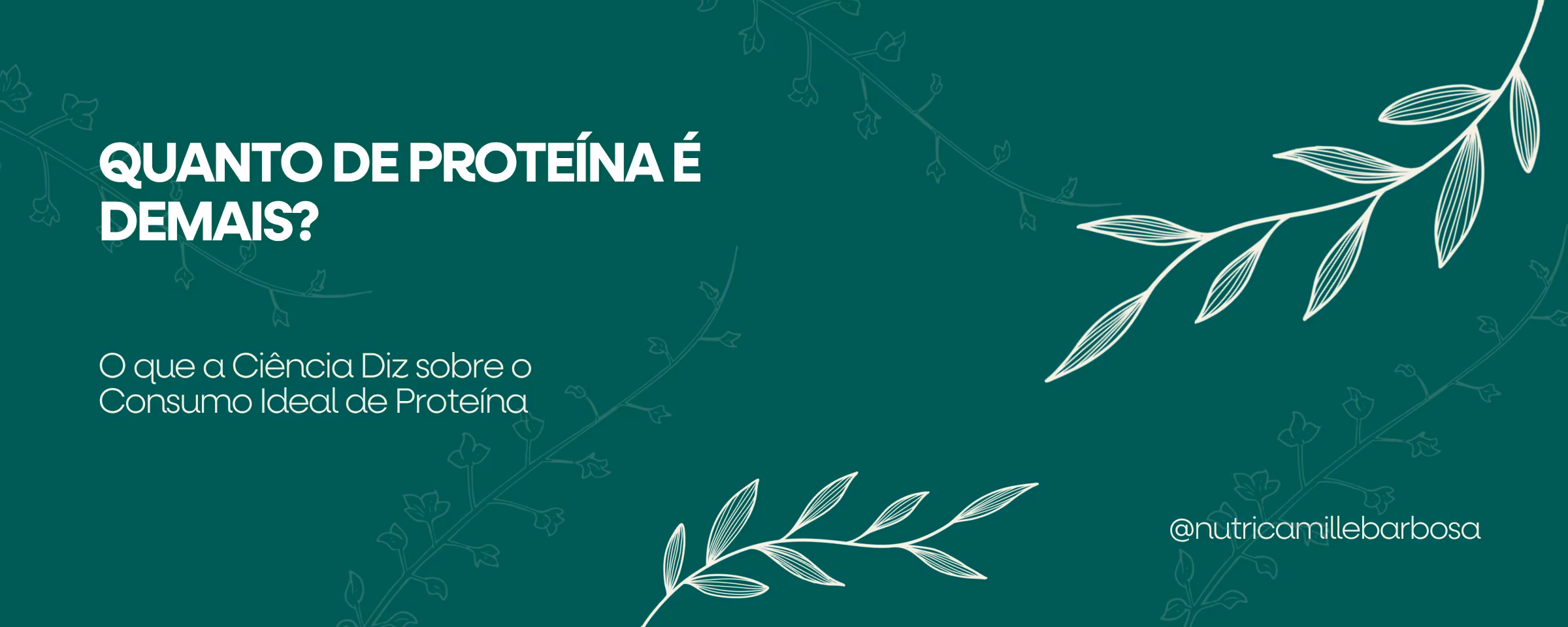 Capa do artigo: Quanto de Proteína é Demais? O que a Ciência Diz sobre a Dieta Hiperproteica Capa do artigo: Quanto de Proteína é Demais? O que a Ciência Diz sobre a Dieta Hiperproteica